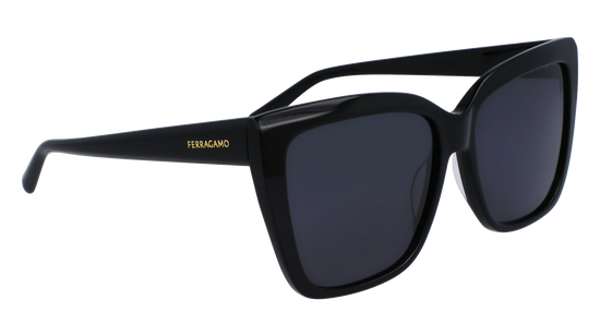 FERRAGAMO Sunglasses SF1102S 1 58