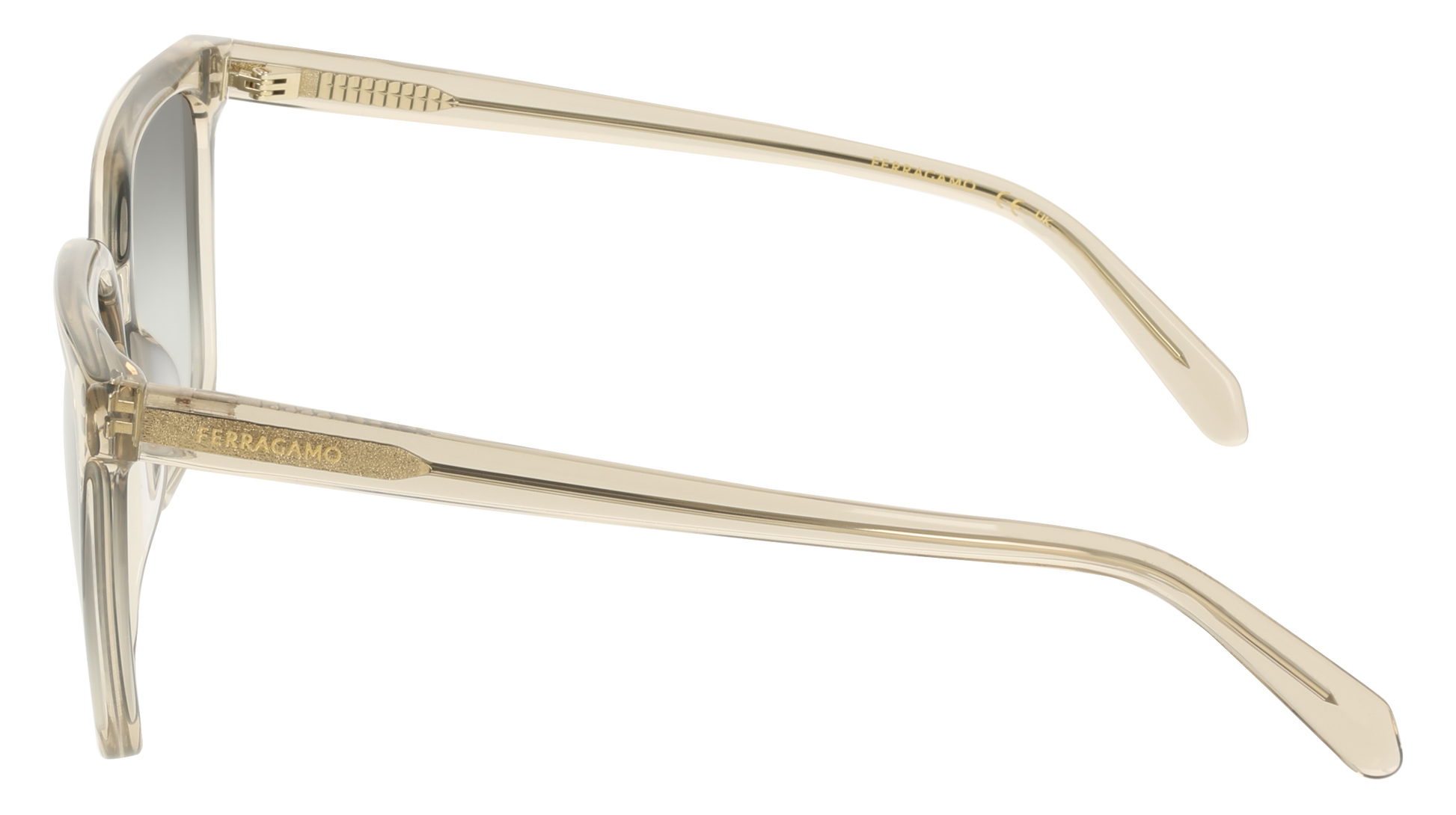 Ferragamo SF2102S 313