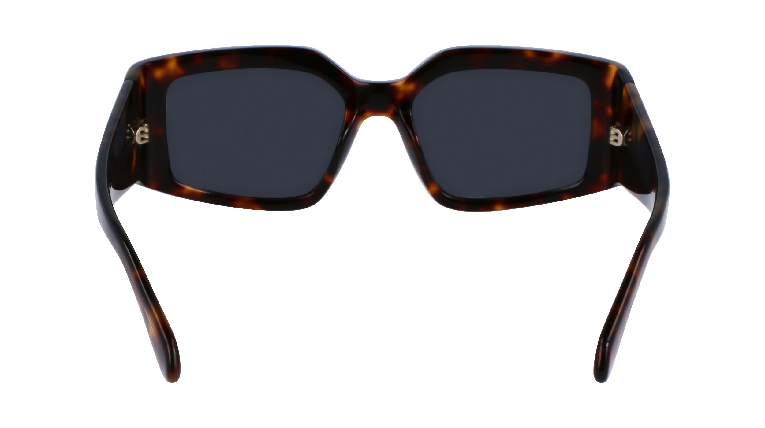 FERRAGAMO Sunglasses SF1101S 242 54