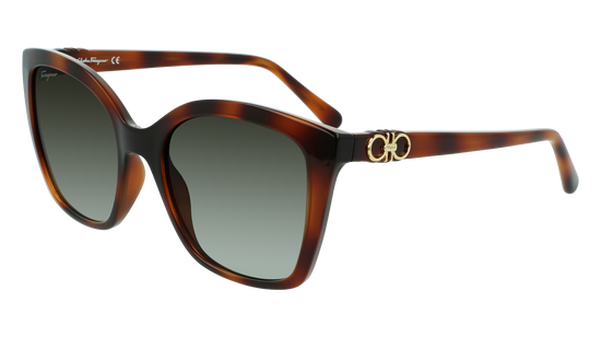 FERRAGAMO Sunglasses SF1026S 214 54