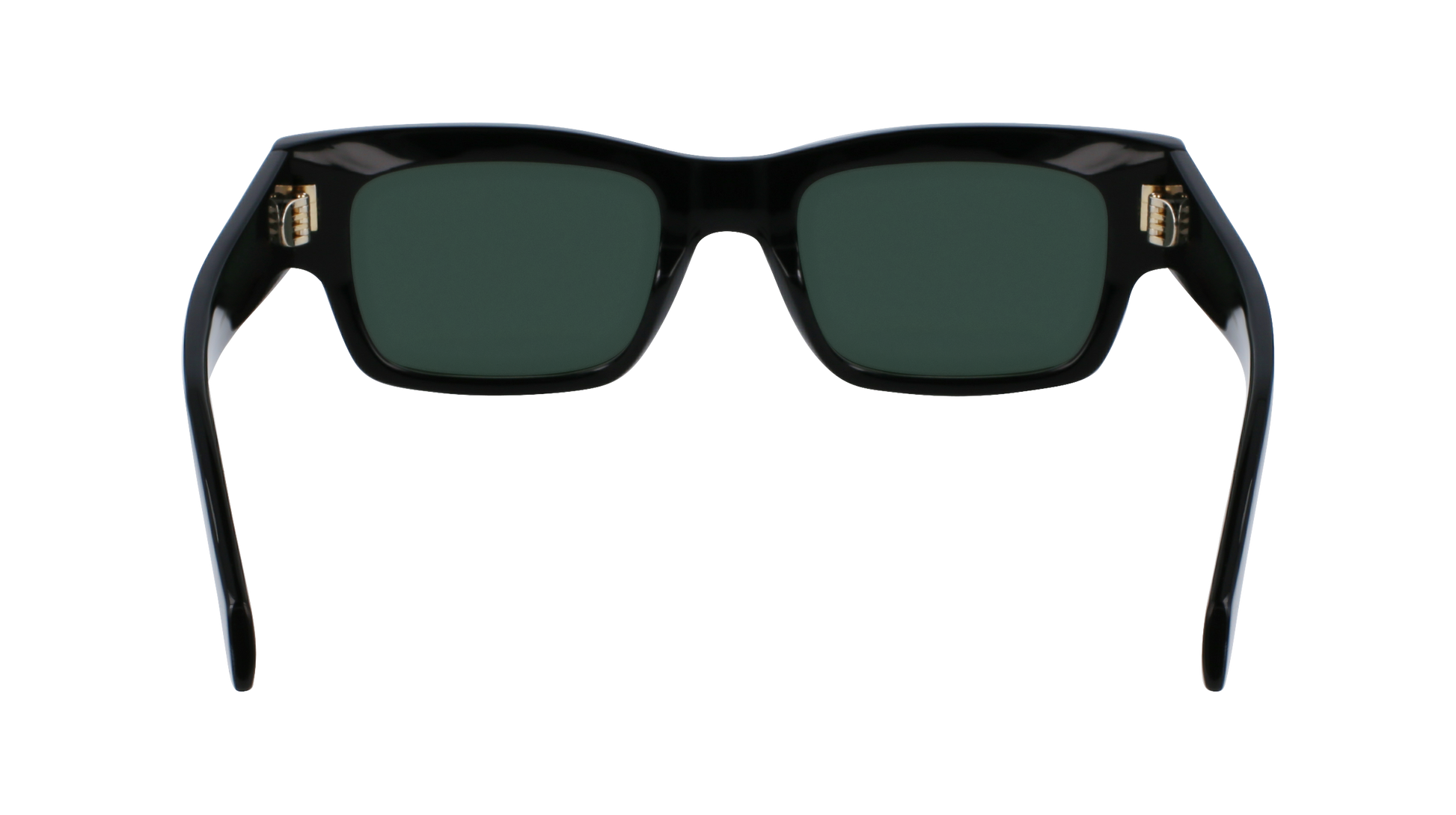 FERRAGAMO Sunglasses SF2011S 1 53