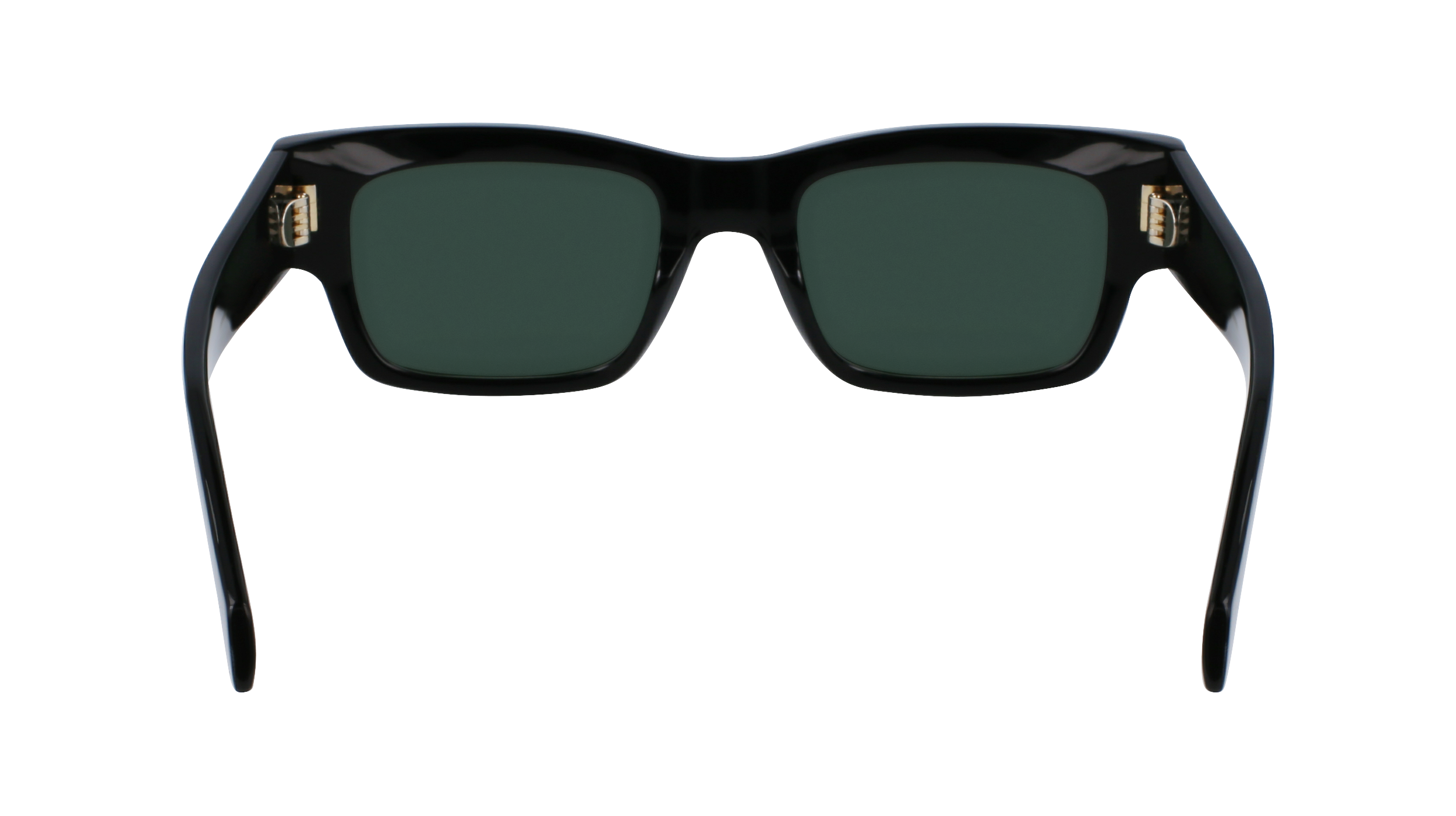 FERRAGAMO Sunglasses SF2011S 1 53