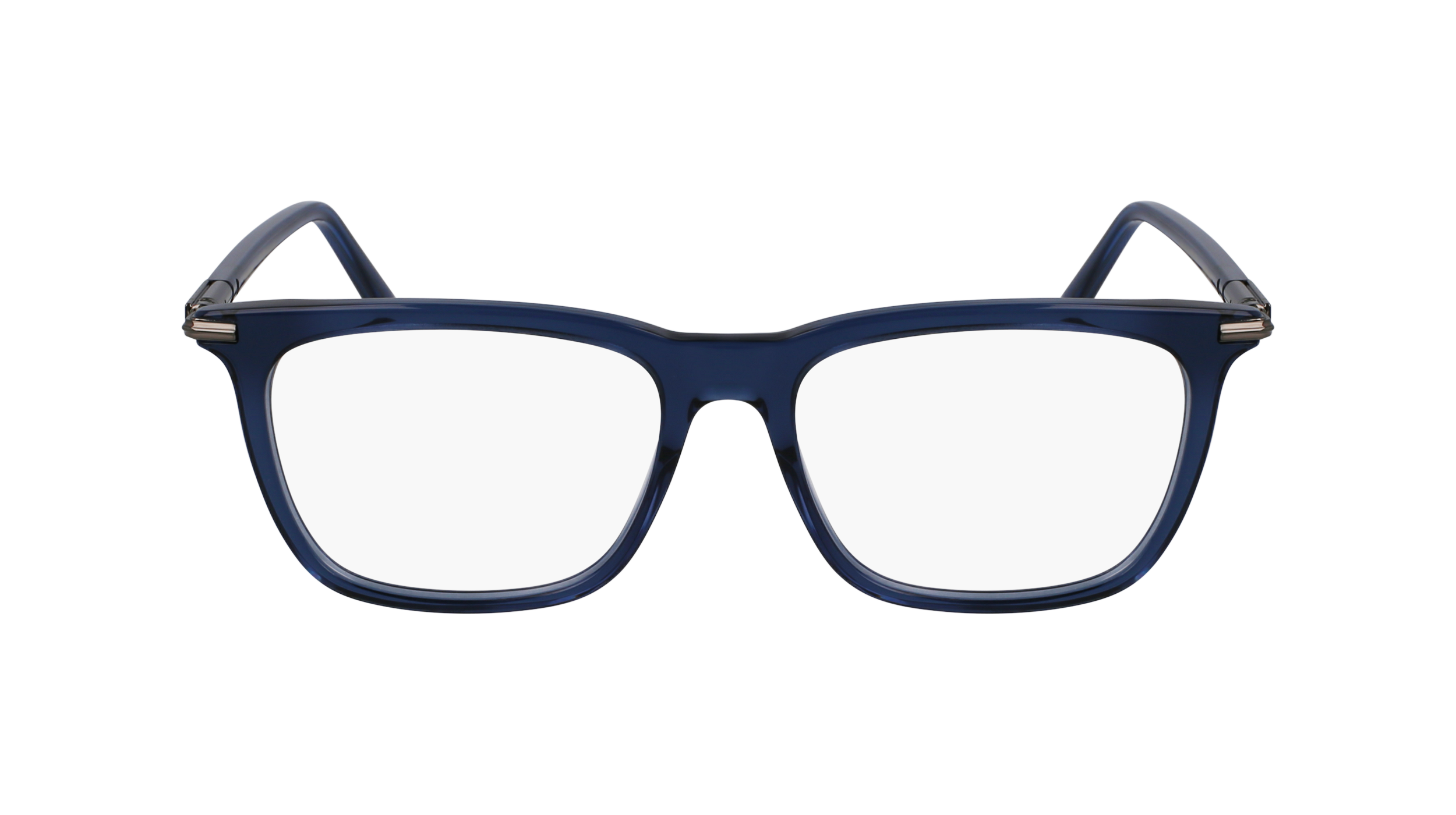 FERRAGAMO Eyeglasses SF3007 432 53