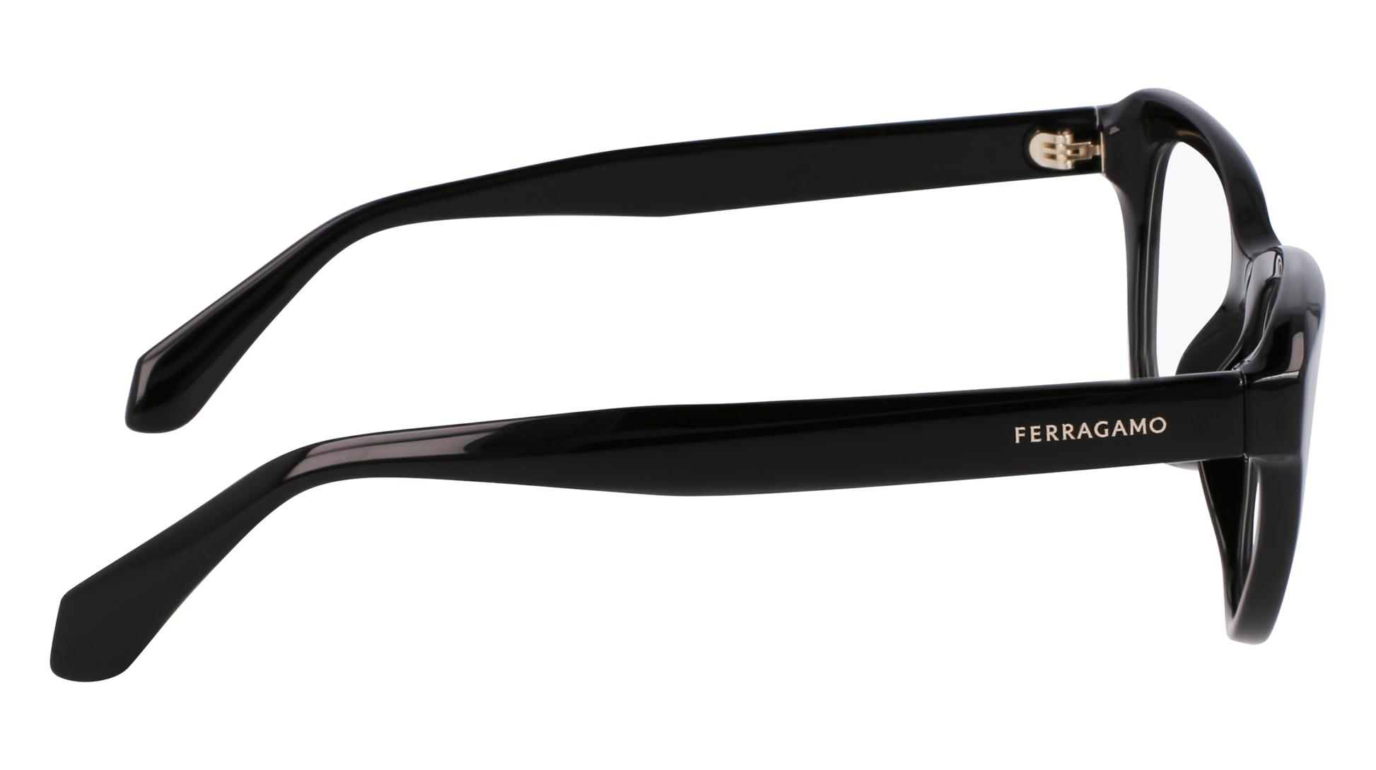 FERRAGAMO Eyeglasses SF2989E 1 51