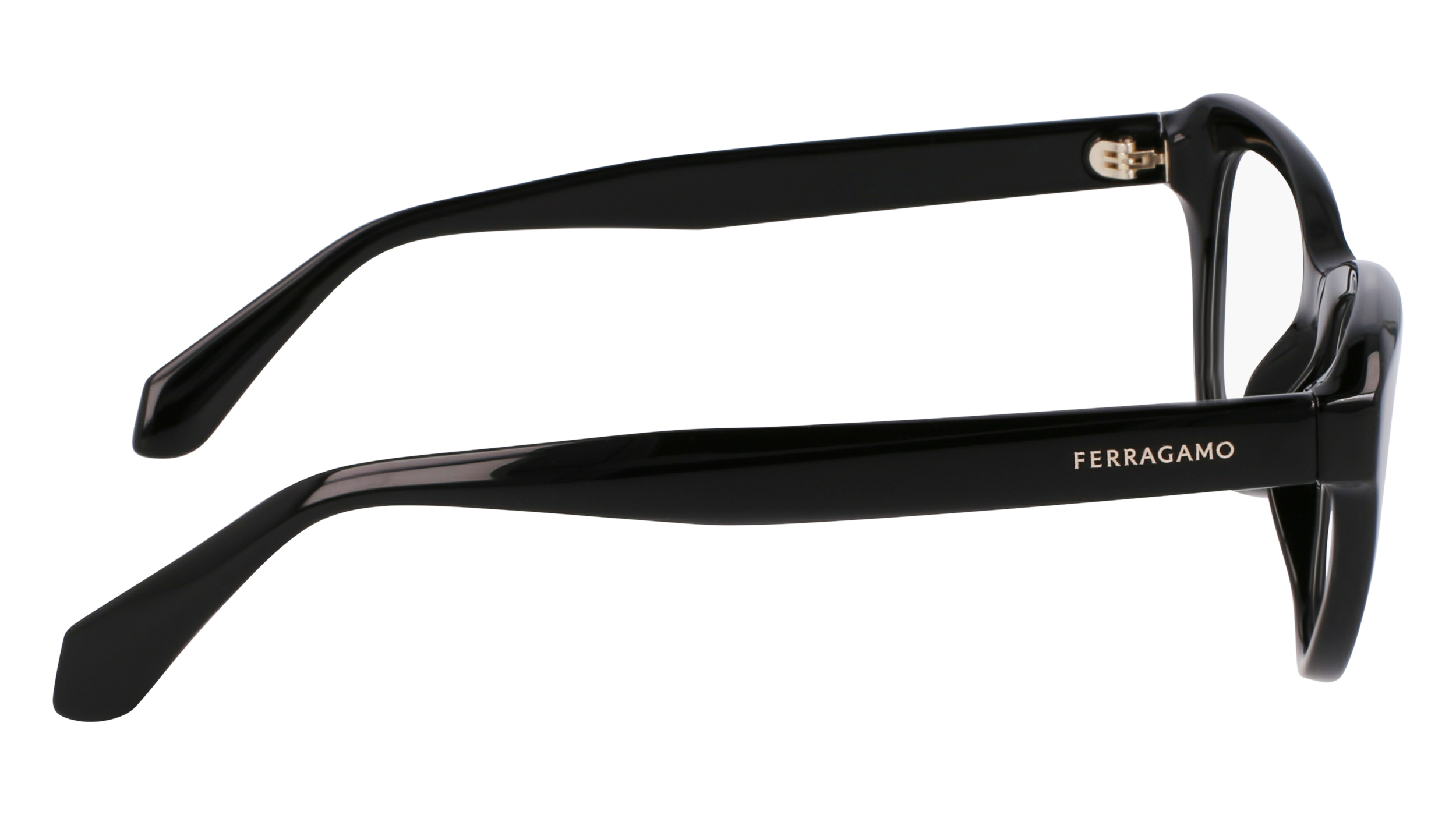 FERRAGAMO Eyeglasses SF2989E 1 51