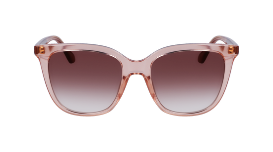 CALVIN KLEIN Sunglasses CK23506S 601 53