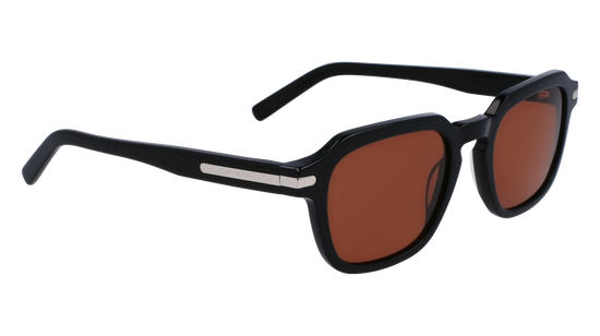 FERRAGAMO Sunglasses SF1089SN 1 52