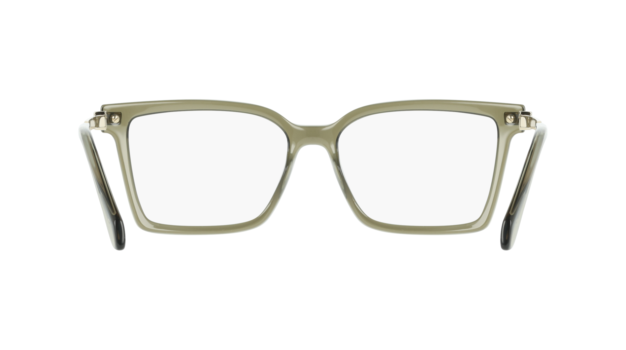 Ferragamo SF3039 320