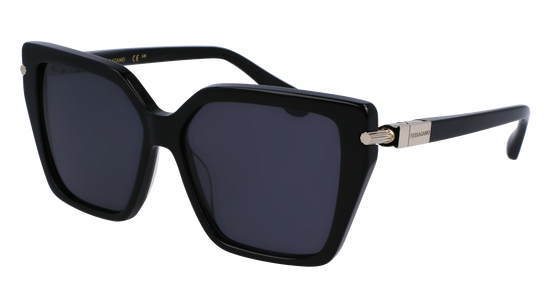 FERRAGAMO Sunglasses SF1106S 1 57