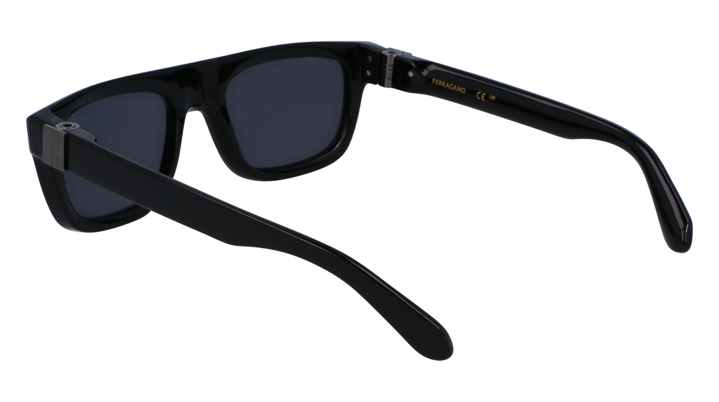 FERRAGAMO Sunglasses SF2009S 1 56