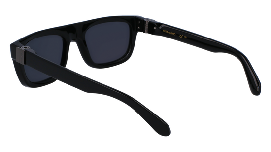 FERRAGAMO Sunglasses SF2009S 1 56