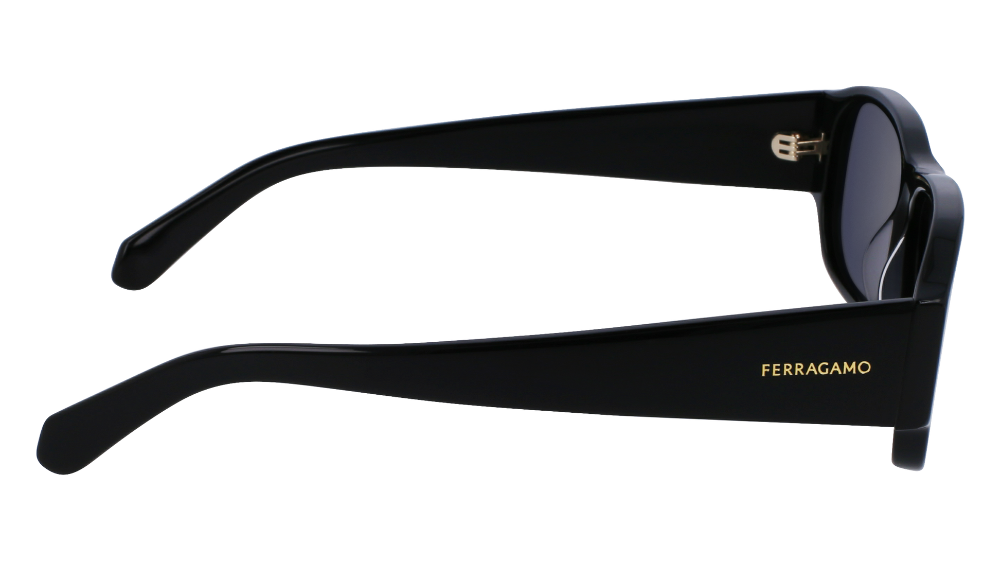 FERRAGAMO Sunglasses SF1109S 1 57