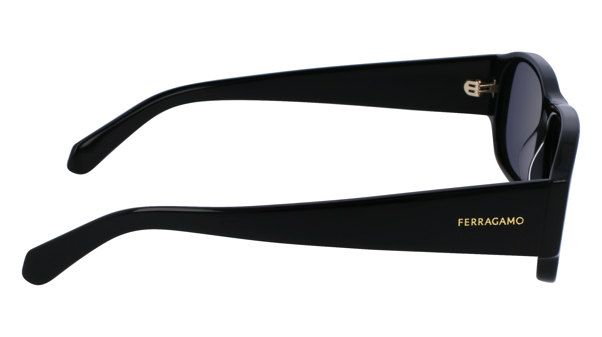 FERRAGAMO Sunglasses SF1109S 1 57