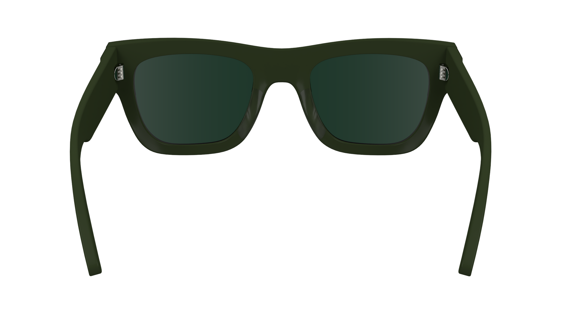 CALVIN KLEIN Sunglasses CK24510S 300 51