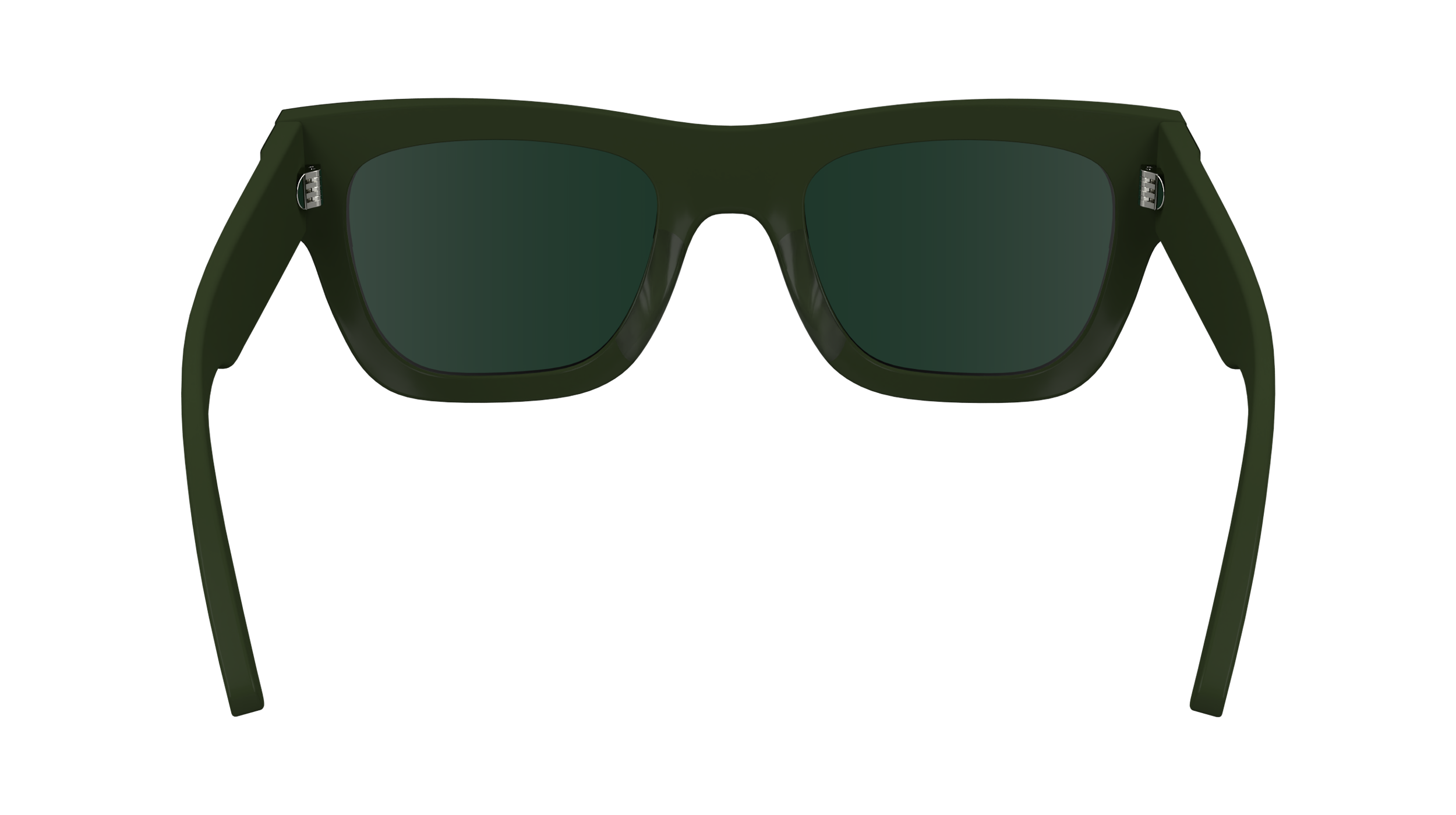 CALVIN KLEIN Sunglasses CK24510S 300 51