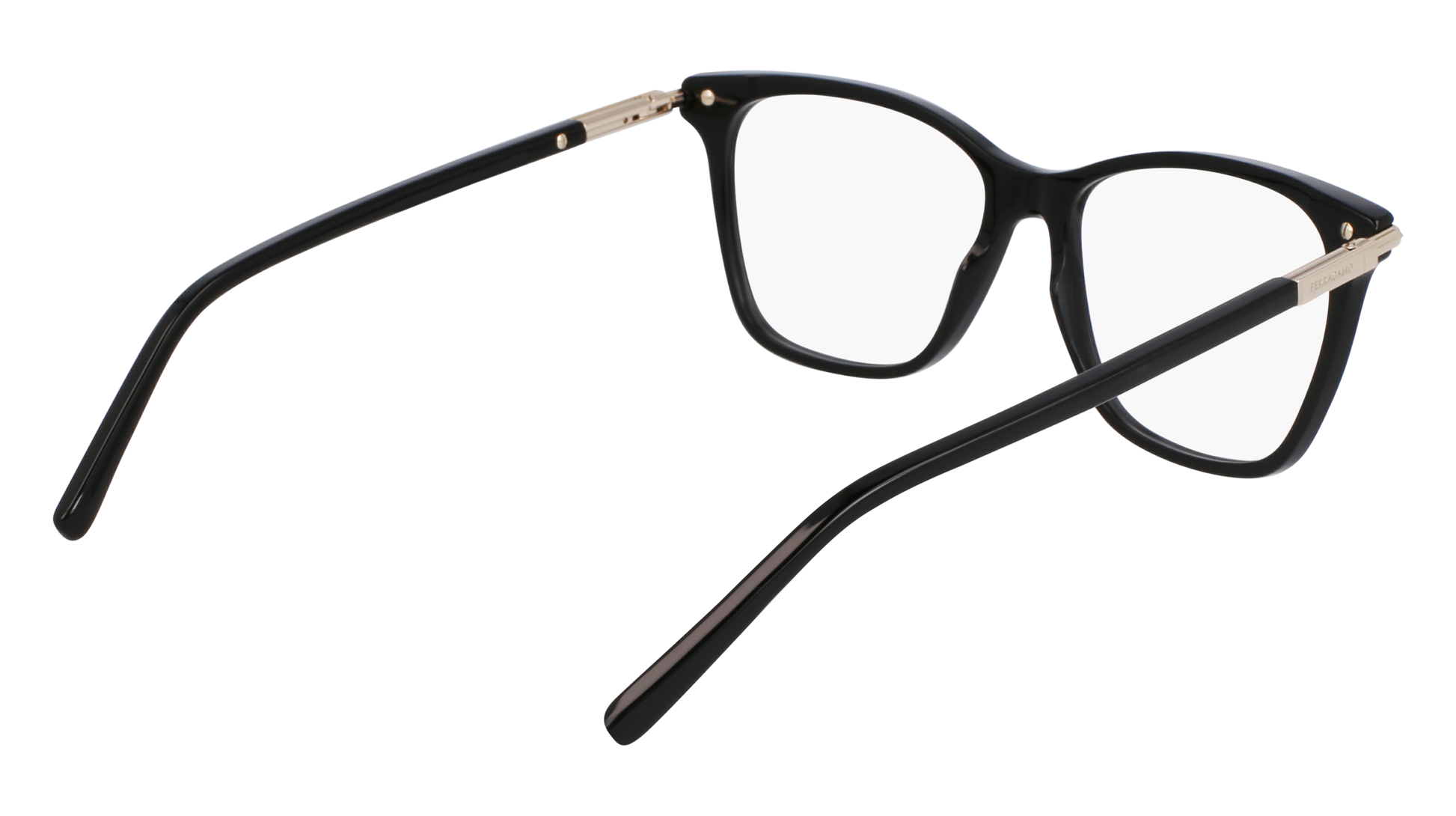 FERRAGAMO Eyeglasses SF3013 1 53