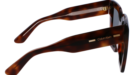 CALVIN KLEIN Sunglasses CK23502S 220 52