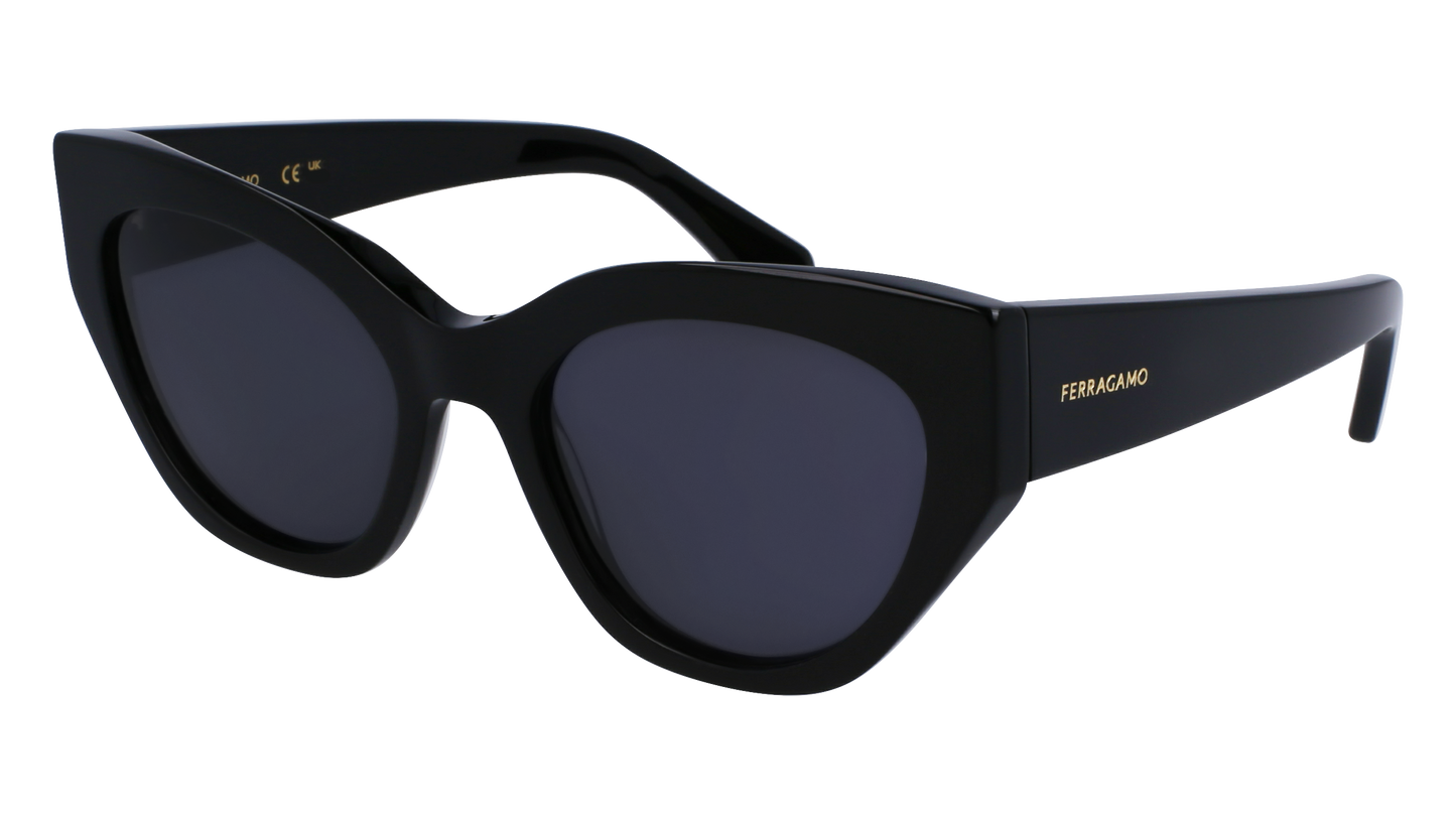 FERRAGAMO Sunglasses SF1107S 1 55