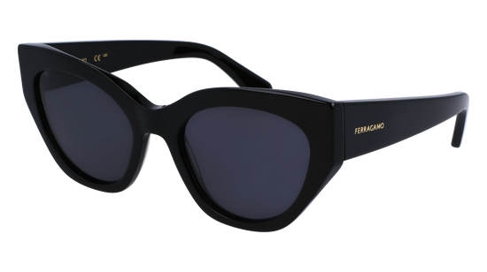 FERRAGAMO Sunglasses SF1107S 1 55