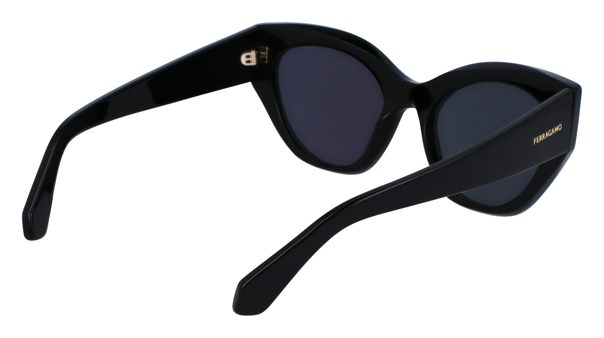 FERRAGAMO Sunglasses SF1107S 1 55