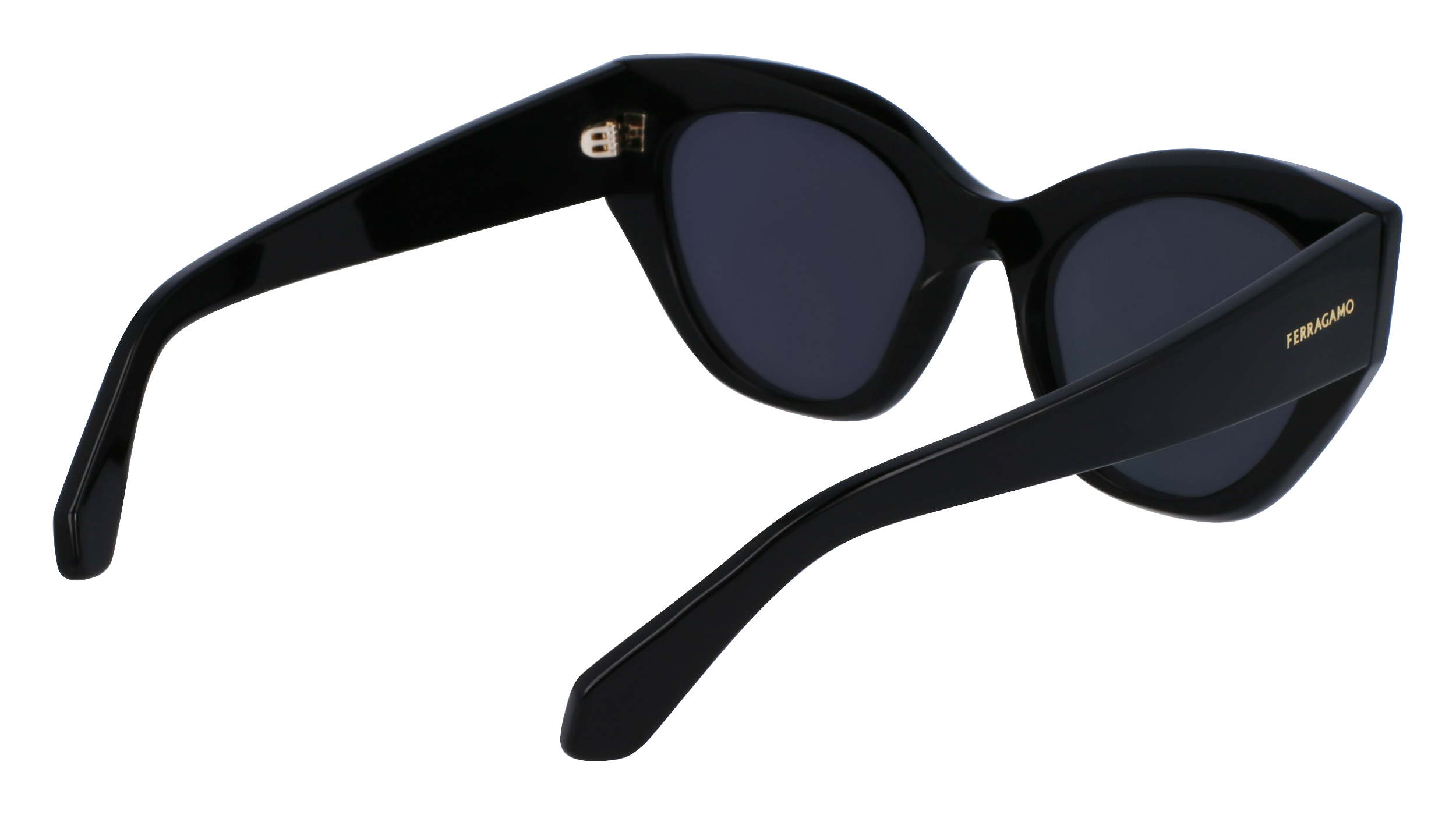 FERRAGAMO Sunglasses SF1107S 1 55