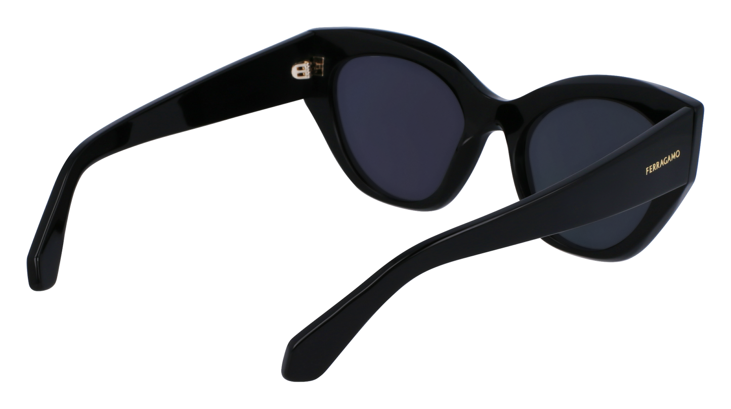 FERRAGAMO Sunglasses SF1107S 1 55