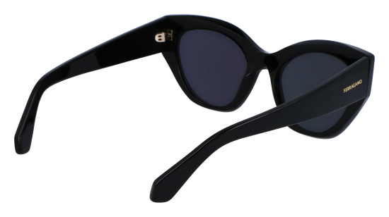 FERRAGAMO Sunglasses SF1107S 1 55