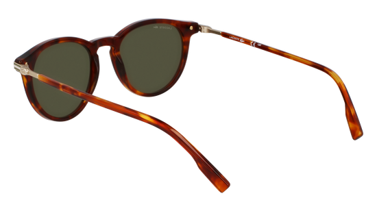 LACOSTE Sunglasses L6034S 218 51