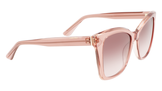 CALVIN KLEIN Sunglasses CK22530S 601 53