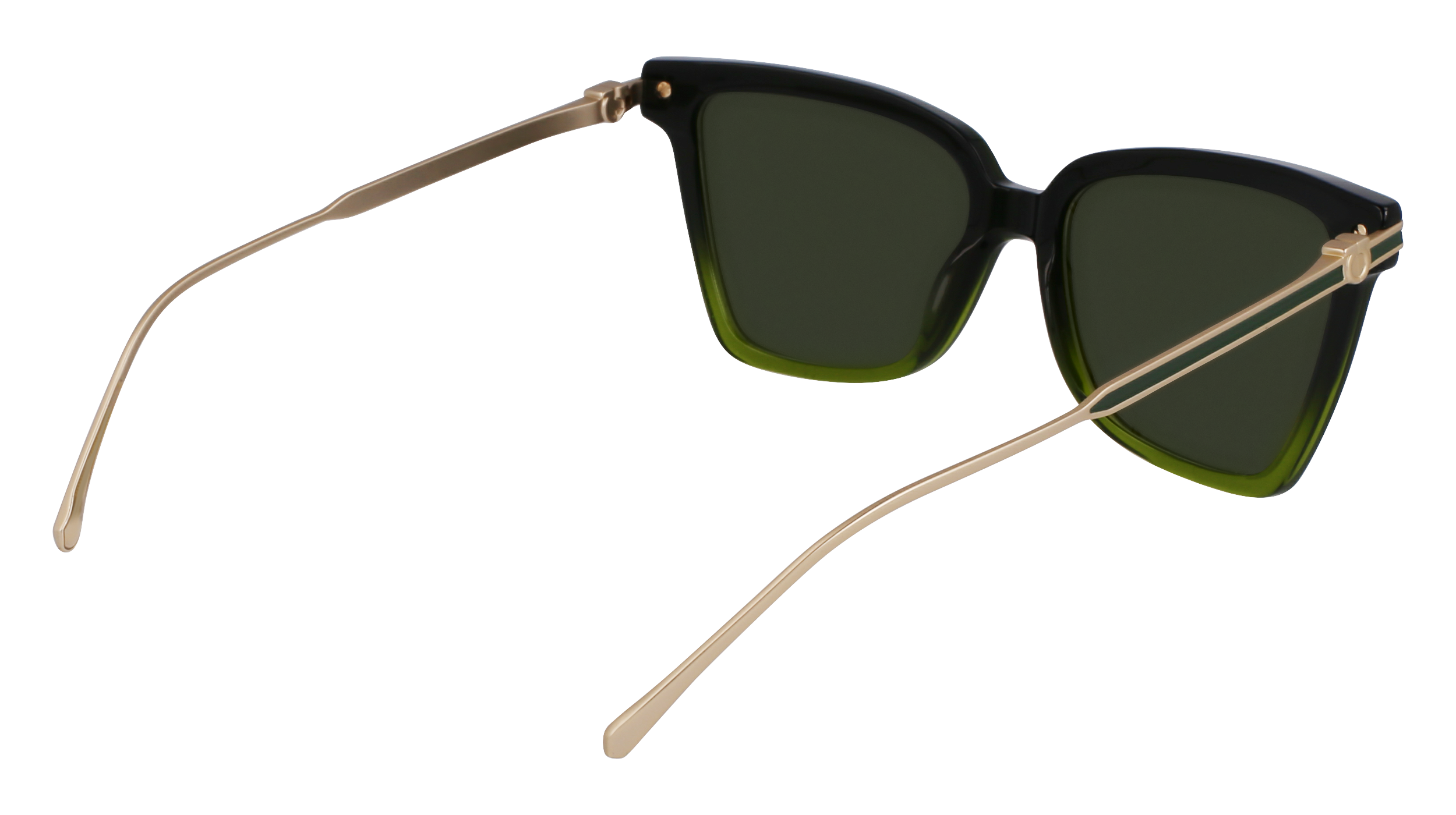 FERRAGAMO Sunglasses SF2036S 316 56