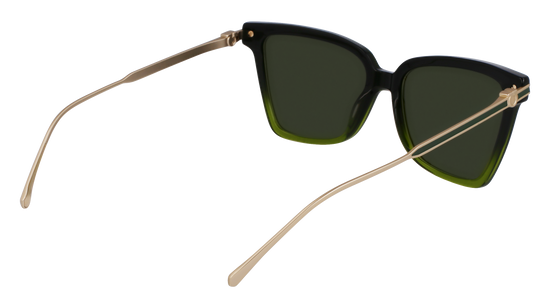 FERRAGAMO Sunglasses SF2036S 316 56