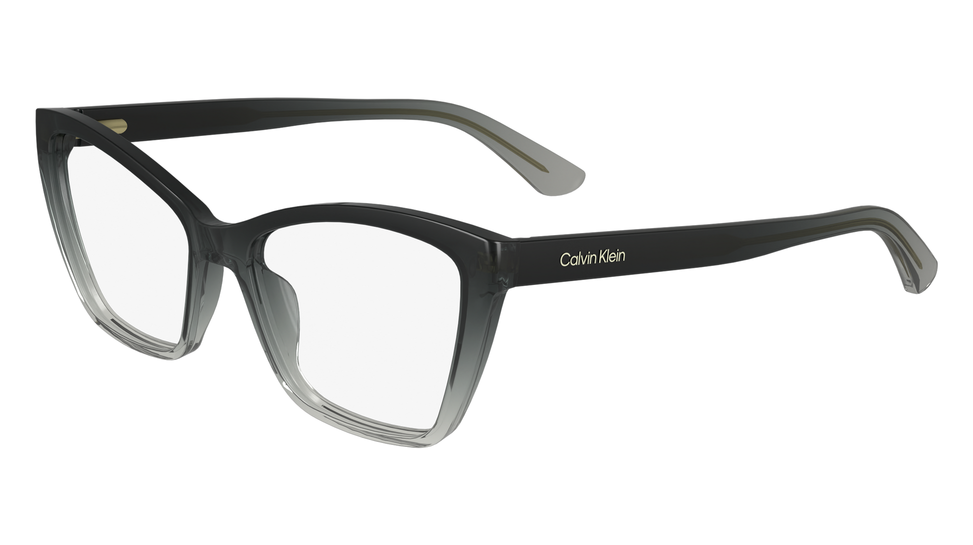 CALVIN KLEIN Eyeglasses CK24523 4 52