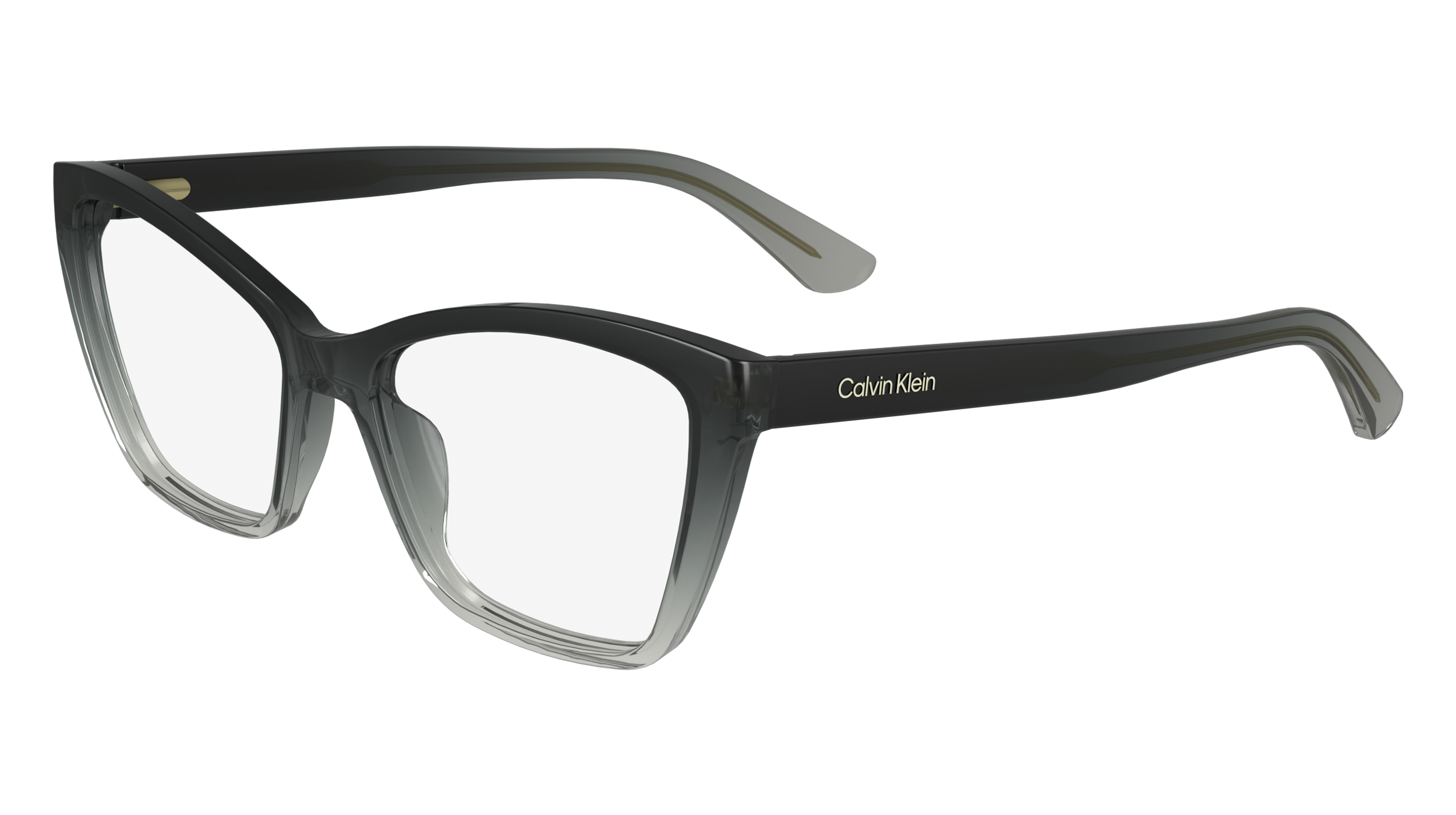 CALVIN KLEIN Eyeglasses CK24523 4 52