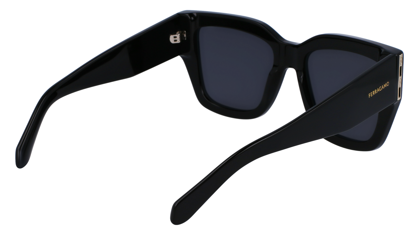 FERRAGAMO Sunglasses SF1104S 1 55