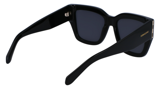 FERRAGAMO Sunglasses SF1104S 1 55