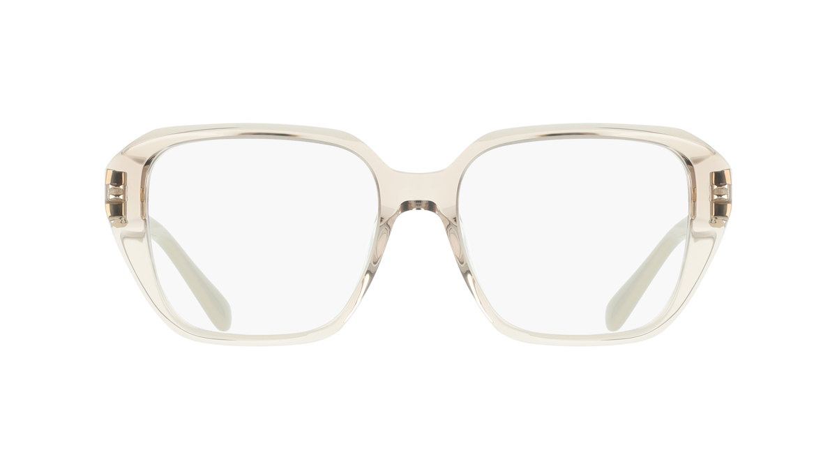 Ferragamo SF3073 260
