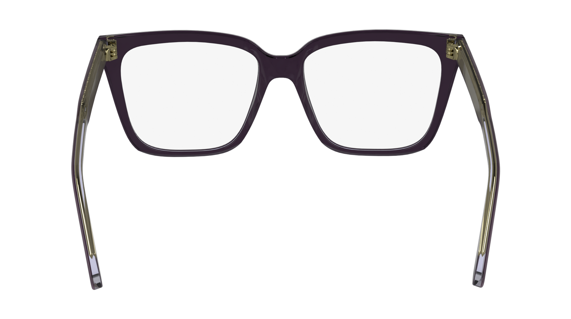 CALVIN KLEIN Eyeglasses CK24541 504 53