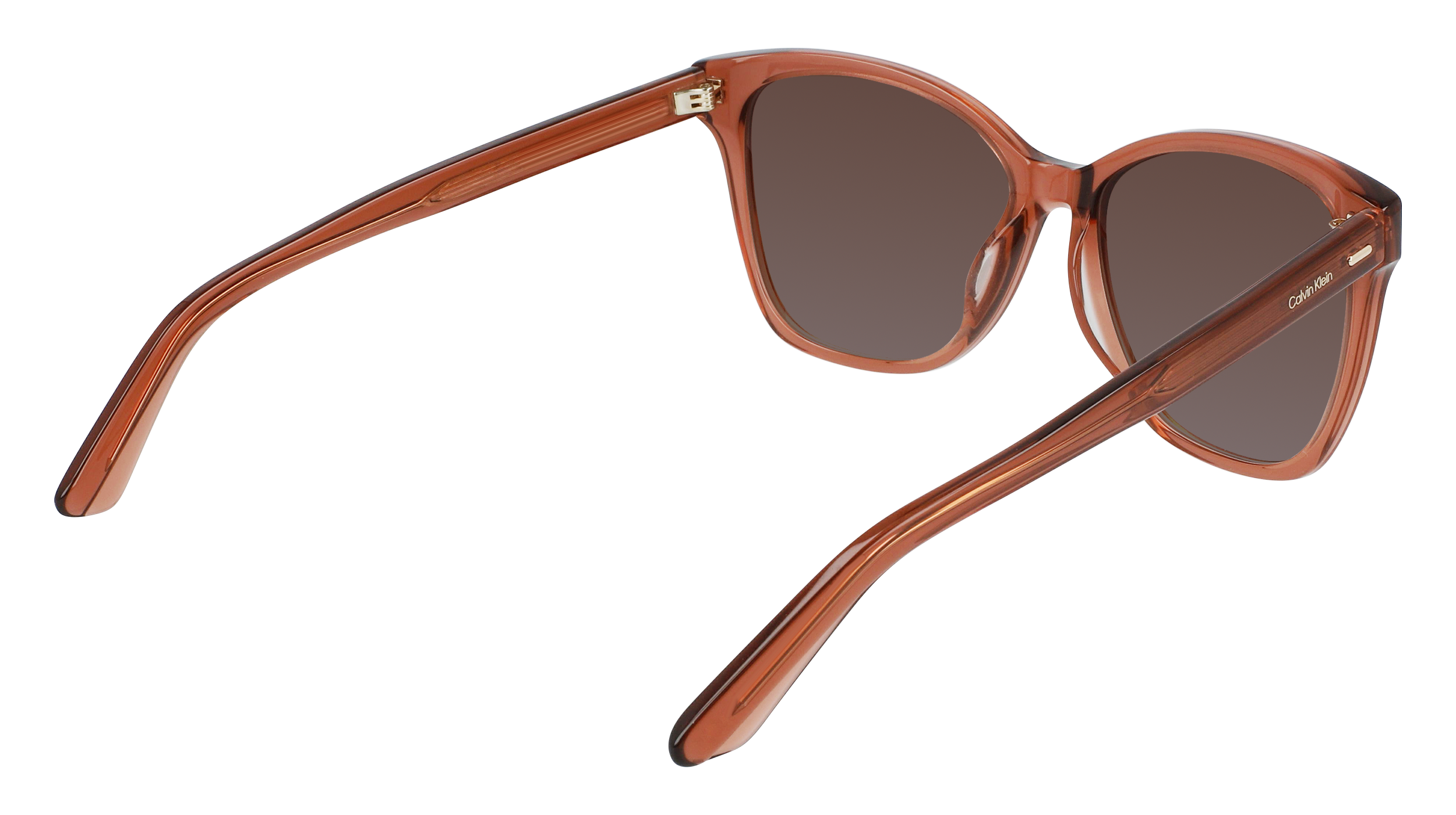 Calvin Klein CK21529S 601