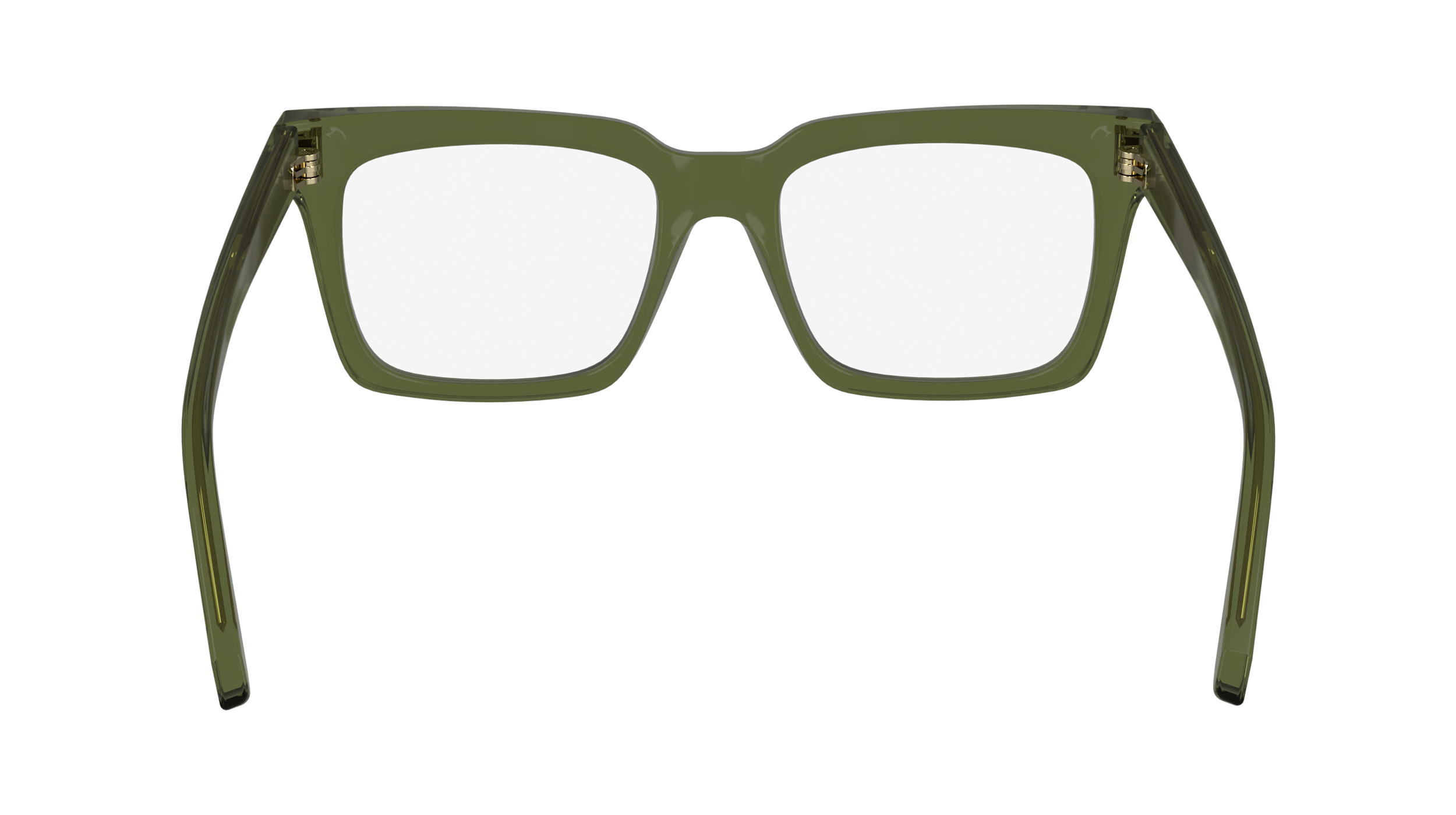 FERRAGAMO Eyeglasses SF2993 320 53