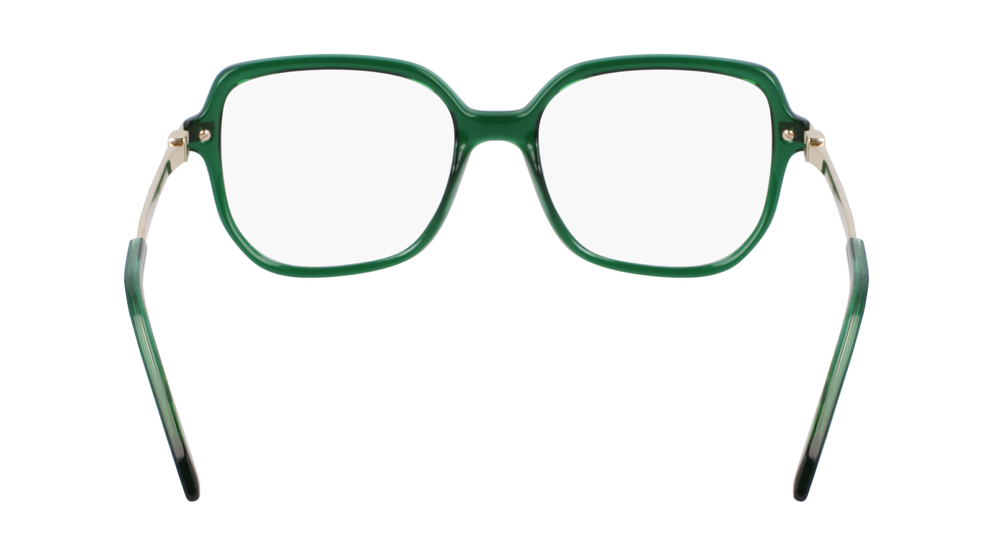 FERRAGAMO Eyeglasses SF3012 317 53