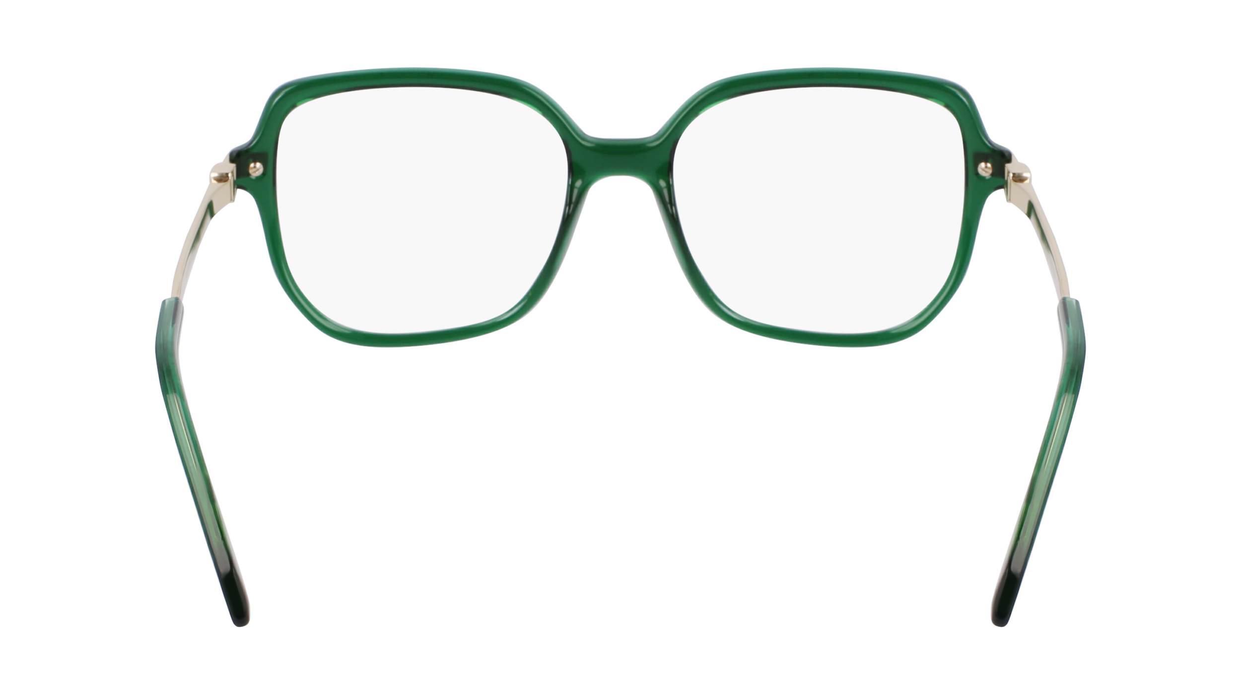 FERRAGAMO Eyeglasses SF3012 317 53