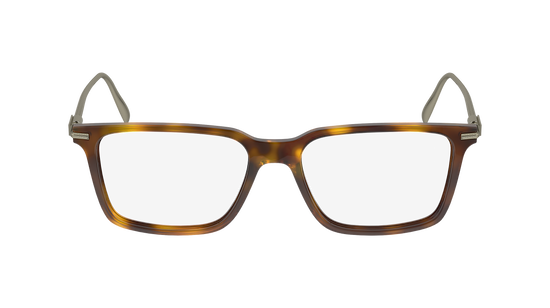 FERRAGAMO Eyeglasses SF2977 240 53