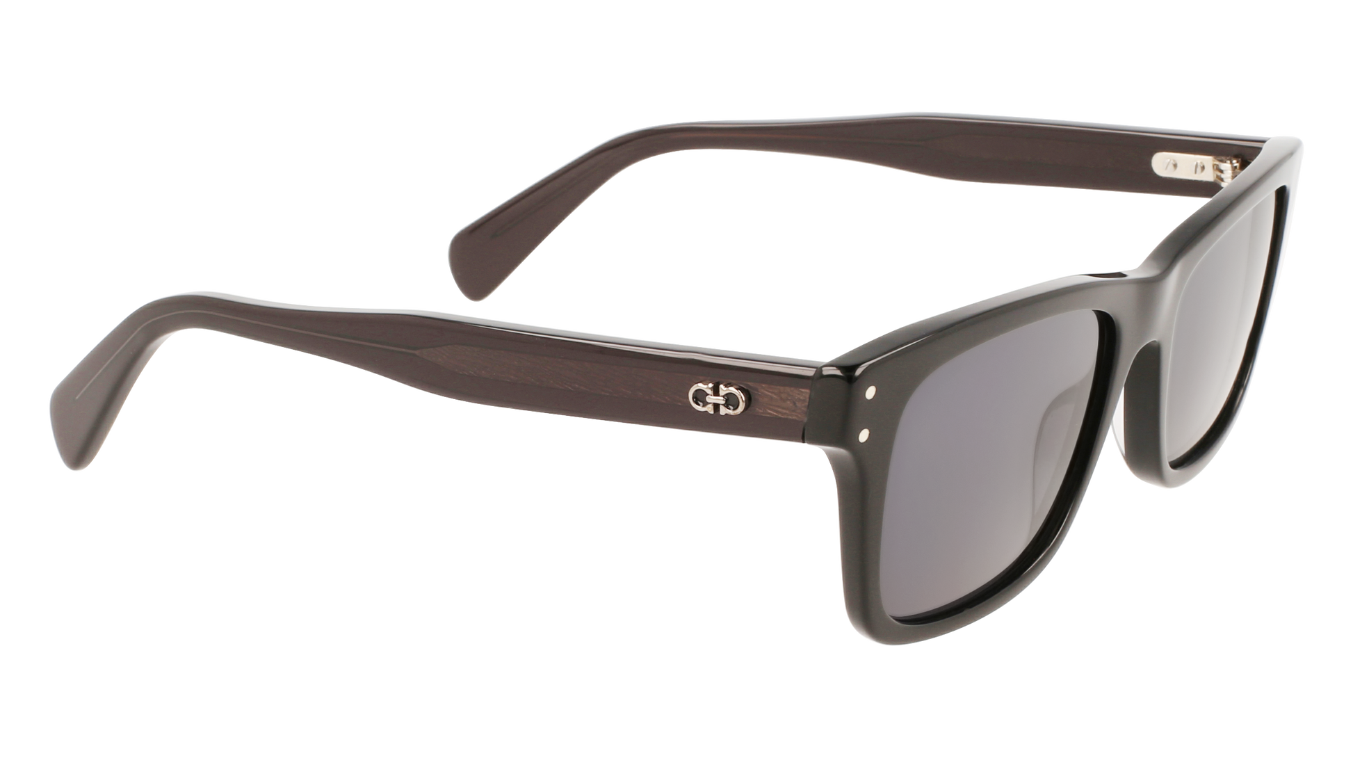 FERRAGAMO Sunglasses SF1039S 1 54