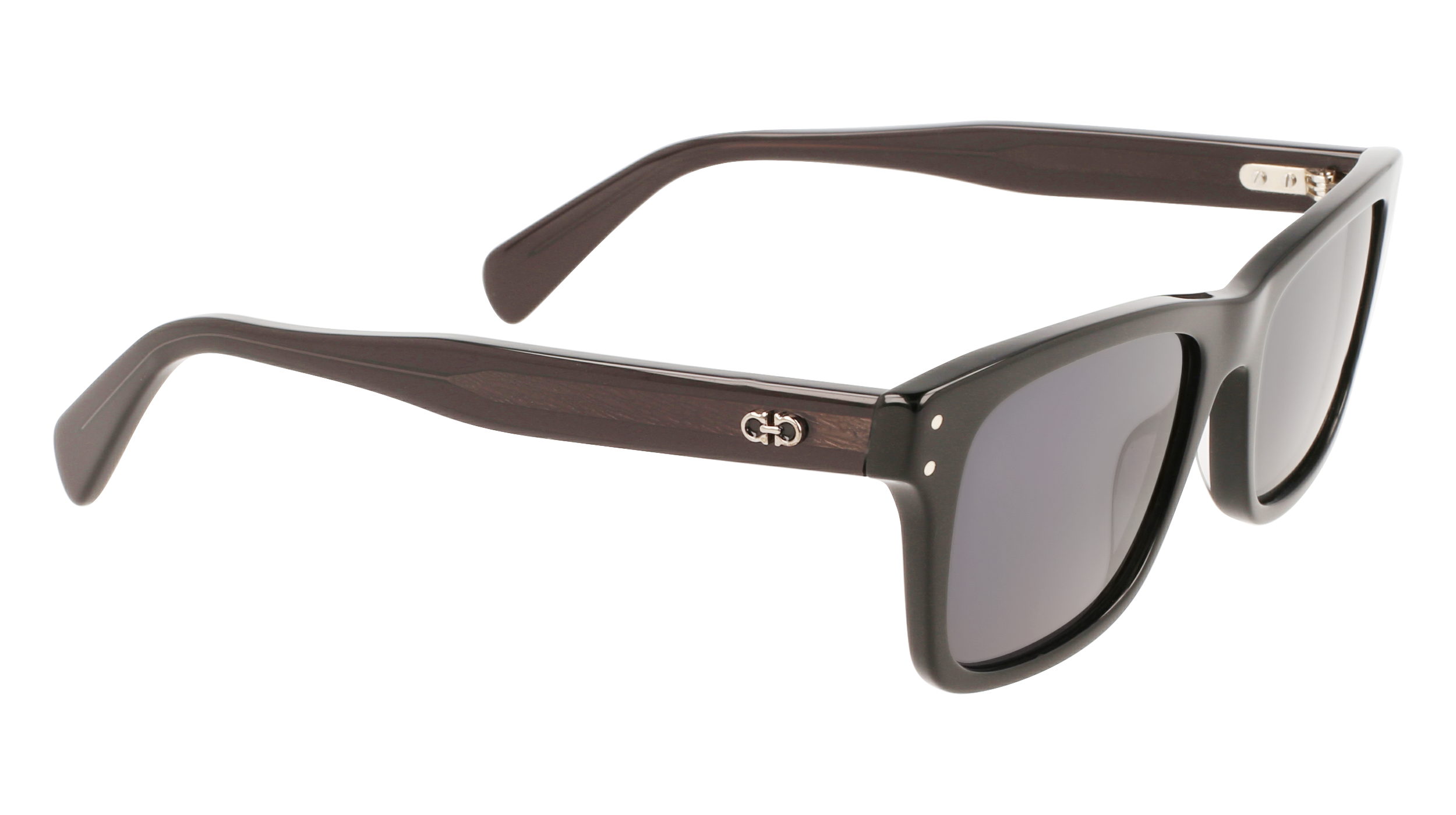 FERRAGAMO Sunglasses SF1039S 1 54