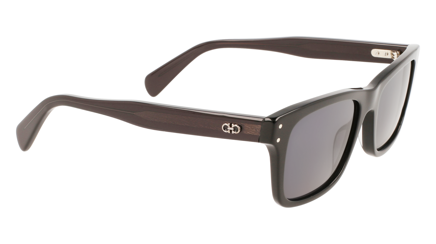 FERRAGAMO Sunglasses SF1039S 1 54