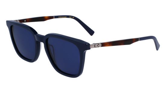 FERRAGAMO Sunglasses SF1100S 414 52