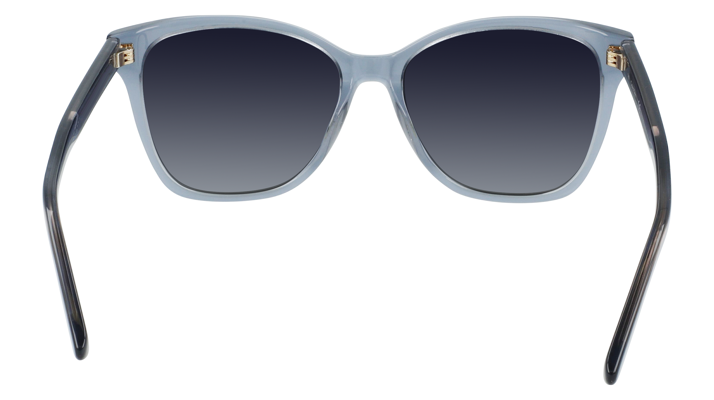 Calvin Klein CK21529S 435