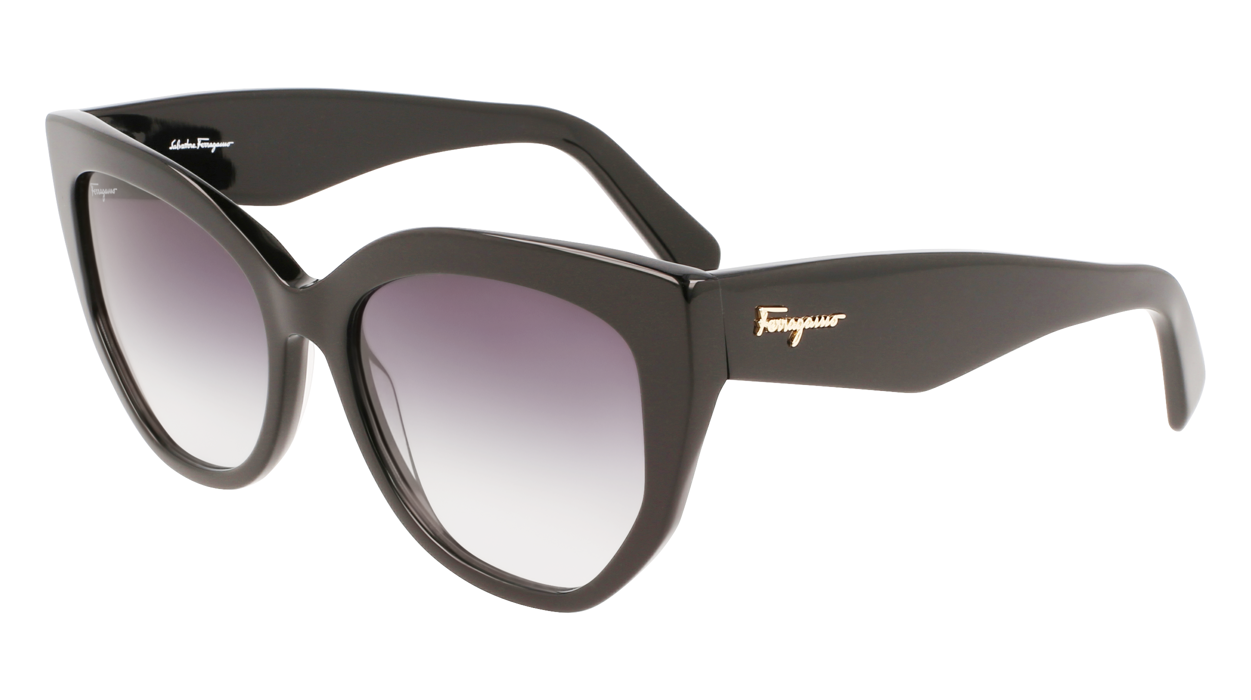 FERRAGAMO Sunglasses SF1061S 1 56