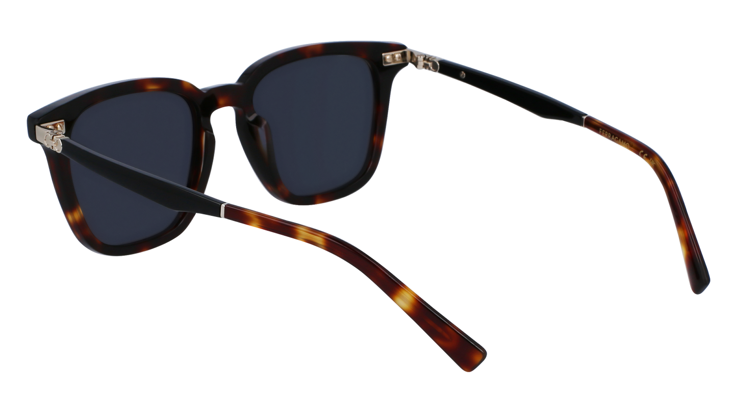 FERRAGAMO Sunglasses SF1100S 242 52