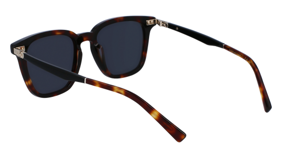 FERRAGAMO Sunglasses SF1100S 242 52